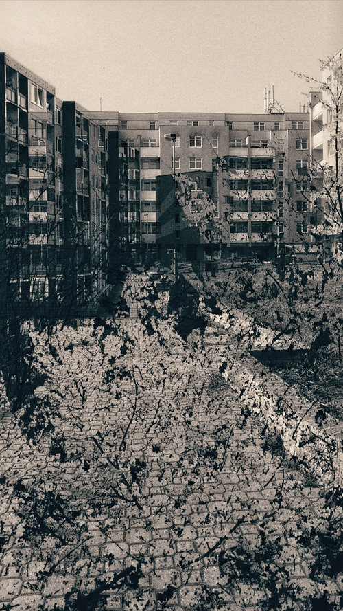 From Silence to Somewhere