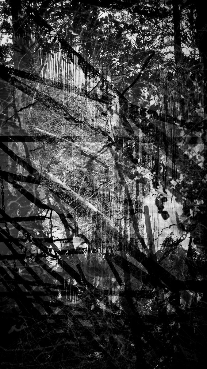 Shadow Work