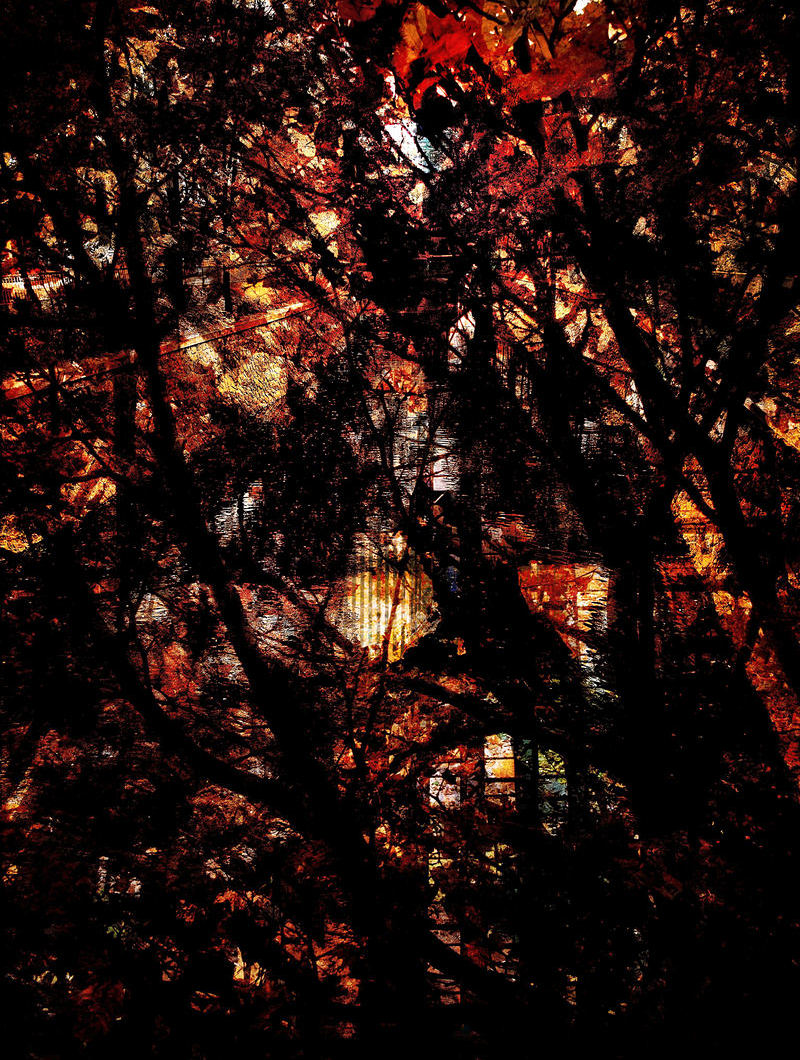Stained Glass Stories